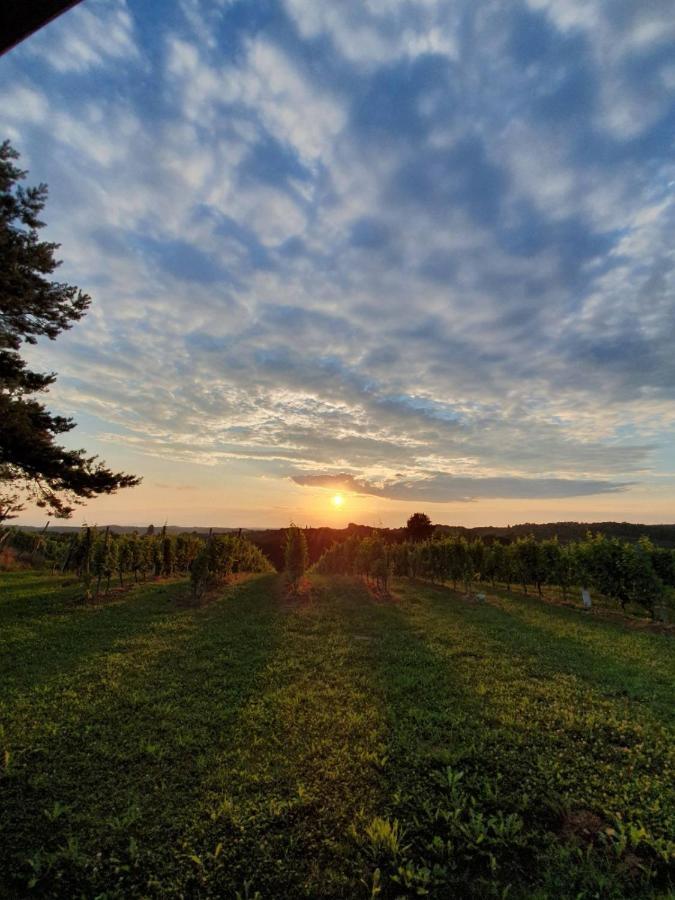 Vila Pocitniska Hisa Soncni Vrh Spodnji Ivanjci Exteriér fotografie