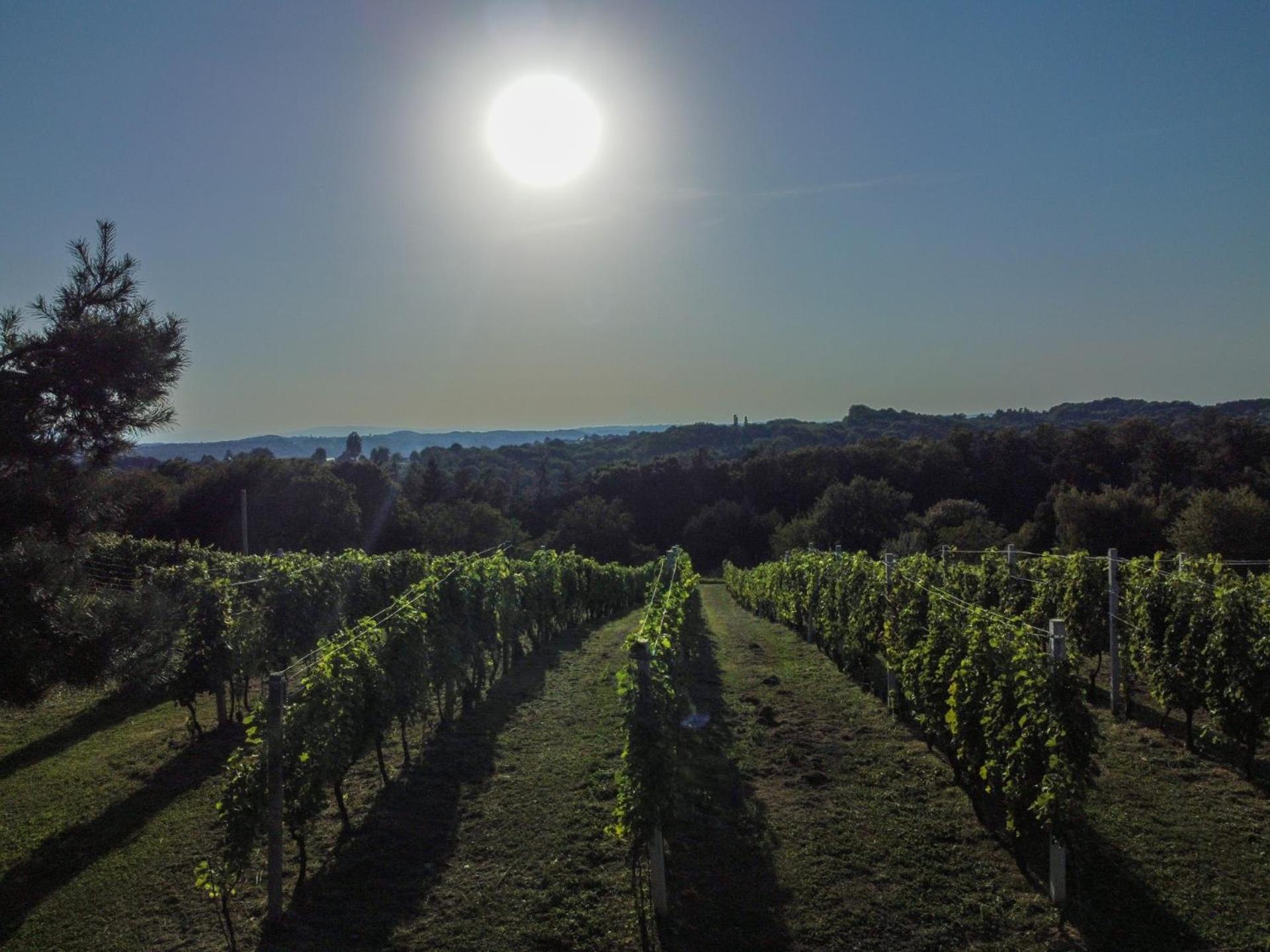 Vila Pocitniska Hisa Soncni Vrh Spodnji Ivanjci Exteriér fotografie