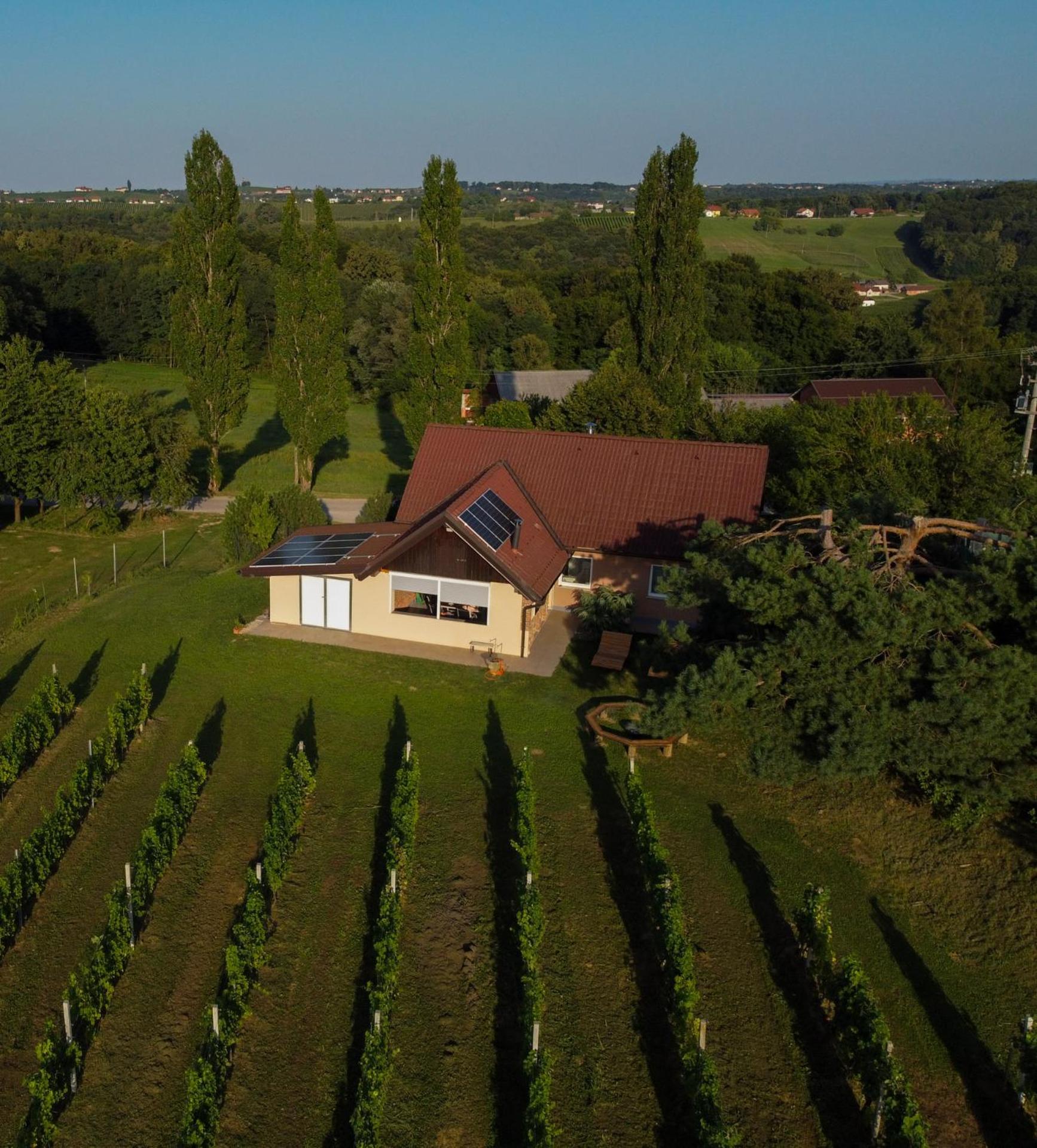 Vila Pocitniska Hisa Soncni Vrh Spodnji Ivanjci Exteriér fotografie